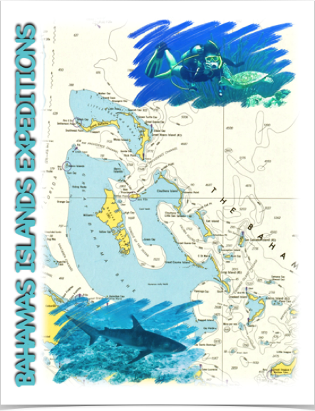 Exploring The Bahamas and their islands' shores and reefs.